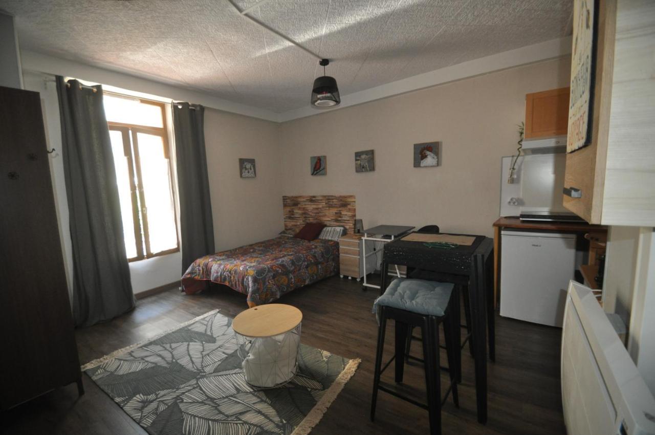 Beaublache Residence Studios Meubles Гренобль Экстерьер фото